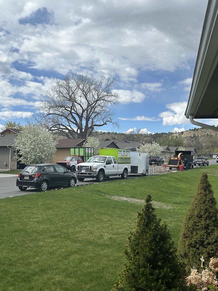 Best Tree Service - tree service in Billings, MT