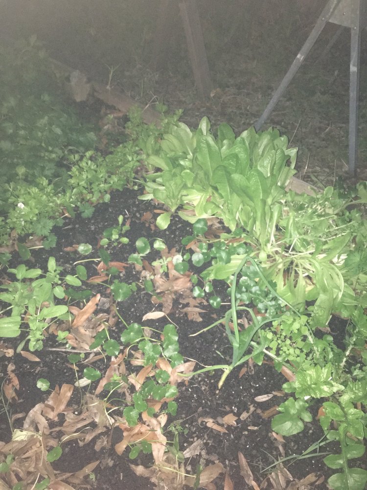 The Pulse Christian Youth Center - social services organization in Jacksonville, FL