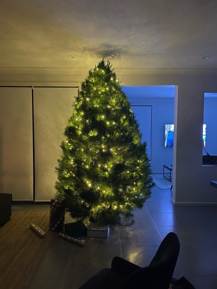 WILLY’S CHRISTMAS TREE FARM 281 Windsor Rd, Vineyard New South Wales