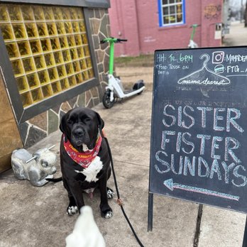 Mama Dearest - Dog friendly with ice cream - Bars Near Me - Austin, Texas