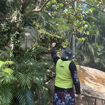 Discovery Cove - Feeding the birds in the aviary - Amusement Parks Near Me - Orlando, Florida