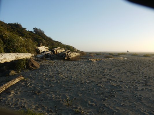 Beachside State Park by null