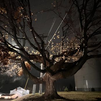 Amelia's Galena Ghost Tours - The gorgeous tree at the cemetery. - Tours Near Me - Galena, Illinois Amelia's Galena Ghost Tours - The gorgeous tree at the cemetery. - Tours Near Me - Galena, Illinois