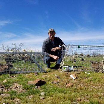 Arizona Wildlife Control - Wildlife Control Near Me