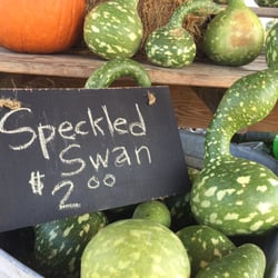 Family Affair Farm