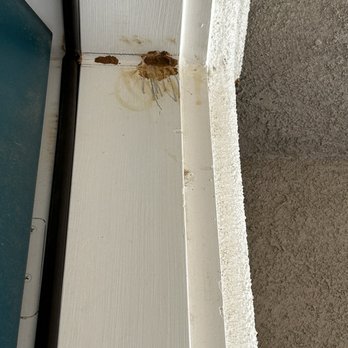 Moxie Pest Control - Riverside - Pest Control Near Me - Riverside, California