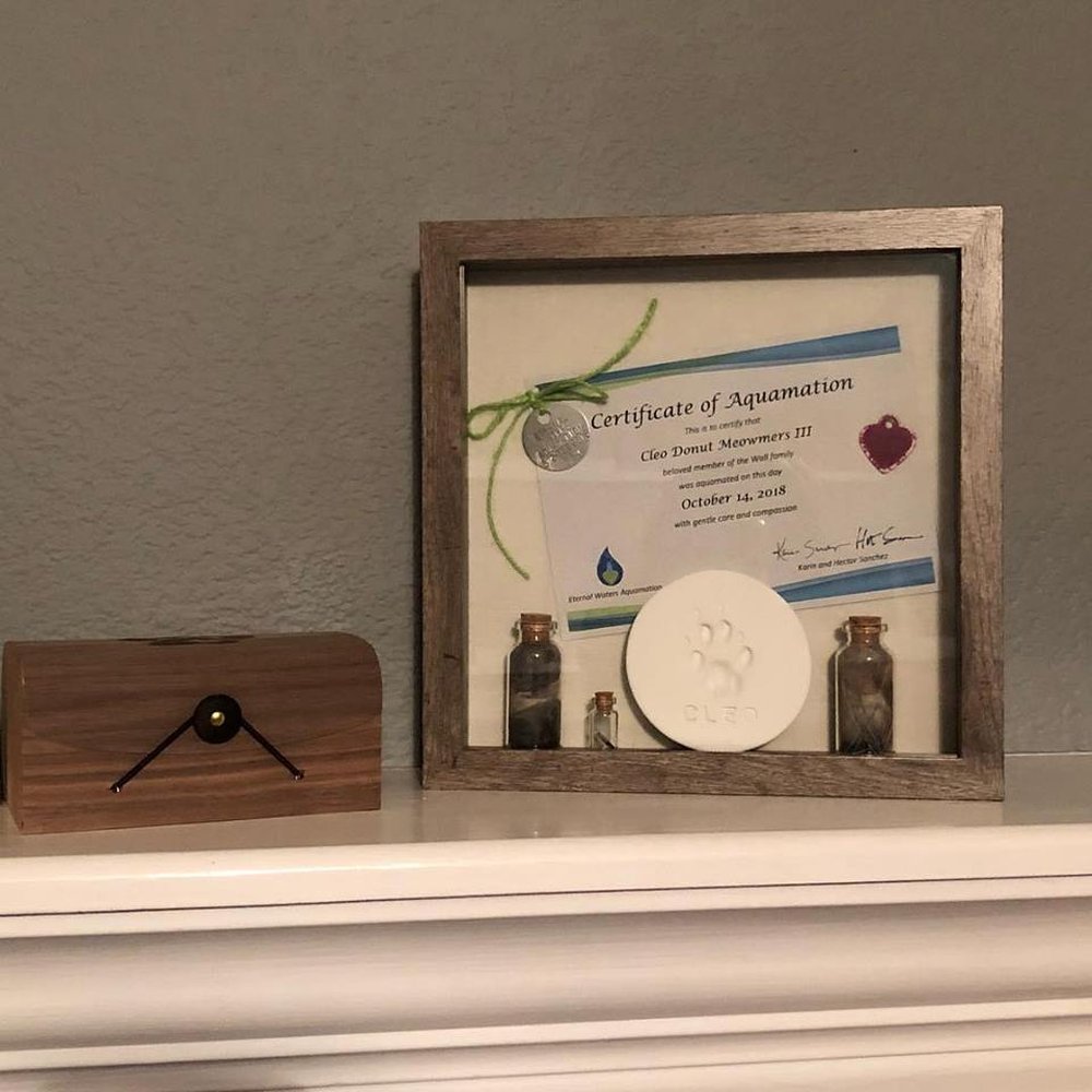 Eternal Waters Aquamation - The shadowbox I put everything in. - Pet Cremation Services Near Me - Converse, Texas