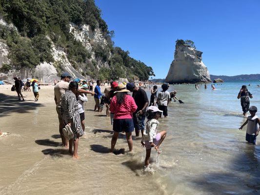 Cathedral Cove Beach by null