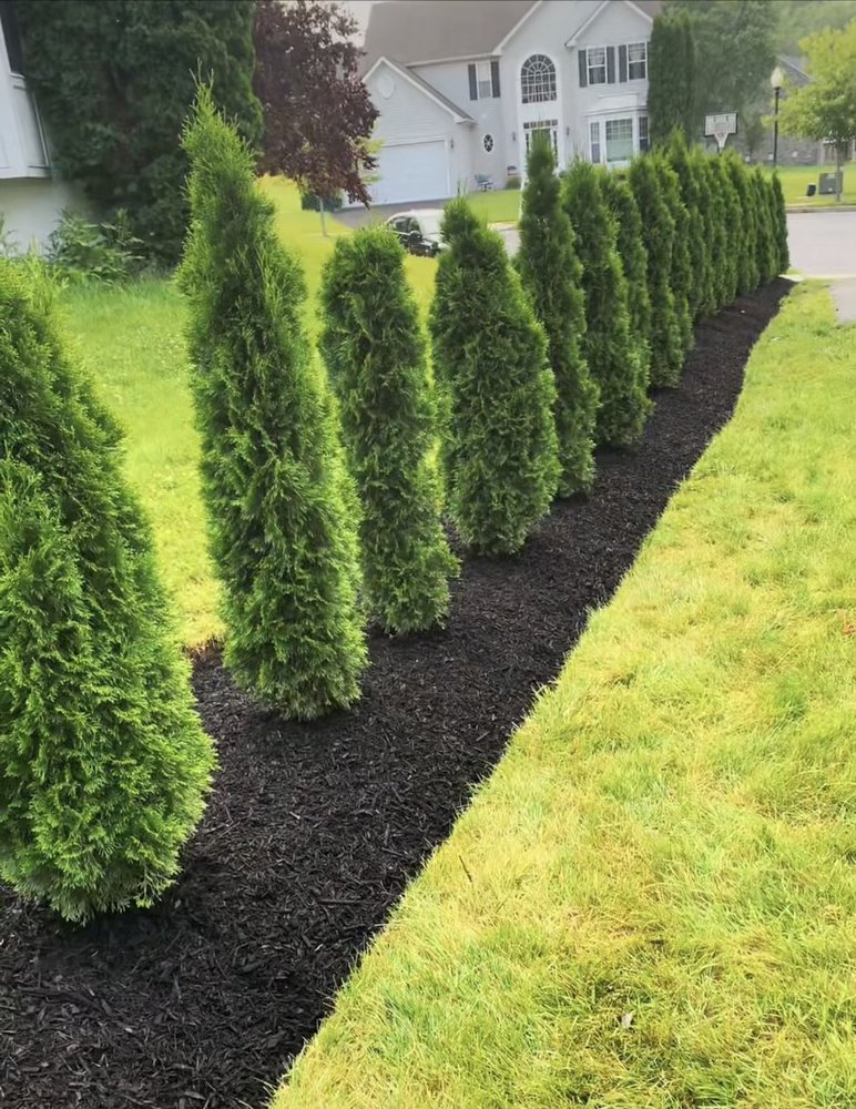 Slide of Miranda Contracting