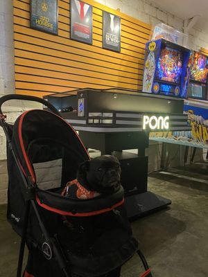 Level Beer: Level 3 Buckman Kerns by null