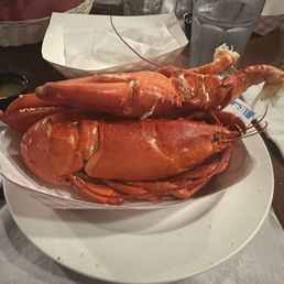 Lobster! Lobster!