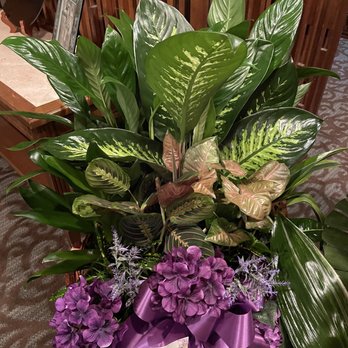 Dean's Flowers - Multi-plant arrangement with accent flowers. - Florists Near Me - La Marque, Texas Dean's Flowers - Multi-plant arrangement with accent flowers. - Florists Near Me - La Marque, Texas