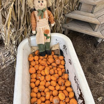 Long & Scott Farms - Farmers Market Near Me - Mount Dora, Florida Long & Scott Farms - Farmers Market Near Me - Mount Dora, Florida