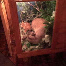 The Pines Theatre - The decor is the best part.