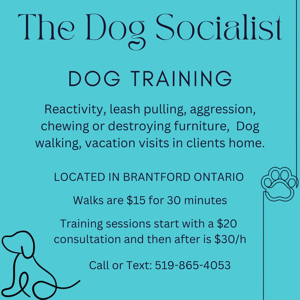 THE DOG SOCIALIST Updated September 2024 Request a Quote