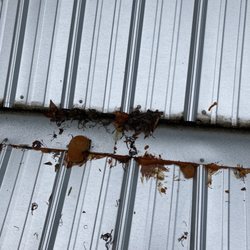 Crawford Roofing - Spray foam