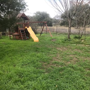 Adam's Lawn Service Austin - Before - Tree Services Near Me - Austin, Texas
