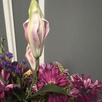 Flowers by Freyhammer - Nurseries & Gardening Near Me - Lynbrook, New York