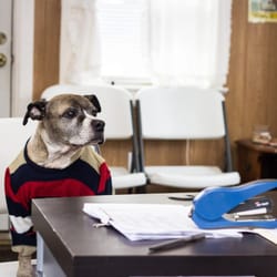 Jon's Tax Service - ZZ is anxiously awaiting to find out his refund amount.