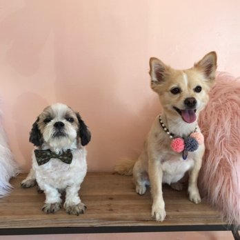 Bubble Pet Grooming - Pet Groomers Near Me - Torrance, California