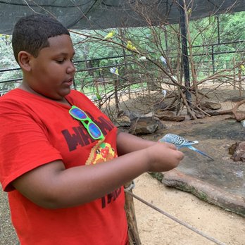 Caldwell Zoo - Zoos Near Me - Tyler, Texas Caldwell Zoo - Zoos Near Me - Tyler, Texas