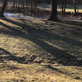 Fürstlich Greizer Park - Parks Near Me - Greiz, TH