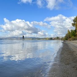 Cottonwood Beach - Fall on the Columbia River