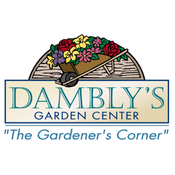 Dambly's Garden Center - Nurseries & Gardening Near Me - Berlin, New Jersey Dambly's Garden Center - Nurseries & Gardening Near Me - Berlin, New Jersey