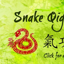Tai Chi USA - Qigong to calm and re-energize