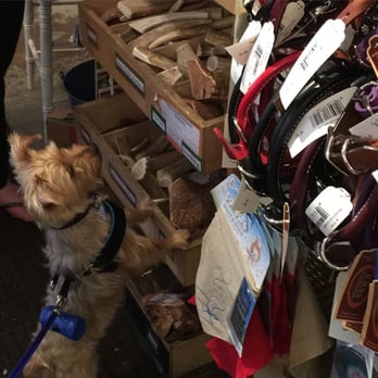 Mouthfuls - Charles has found the Mecca. - Pet Services Near Me - Denver, Colorado Mouthfuls - Charles has found the Mecca. - Pet Services Near Me - Denver, Colorado