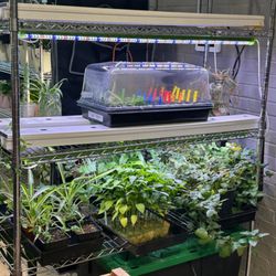 Atlantis Hydroponics