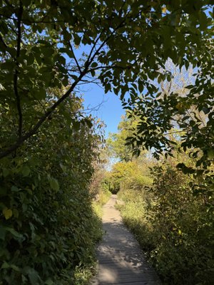 Saugerties Lighthouse by null