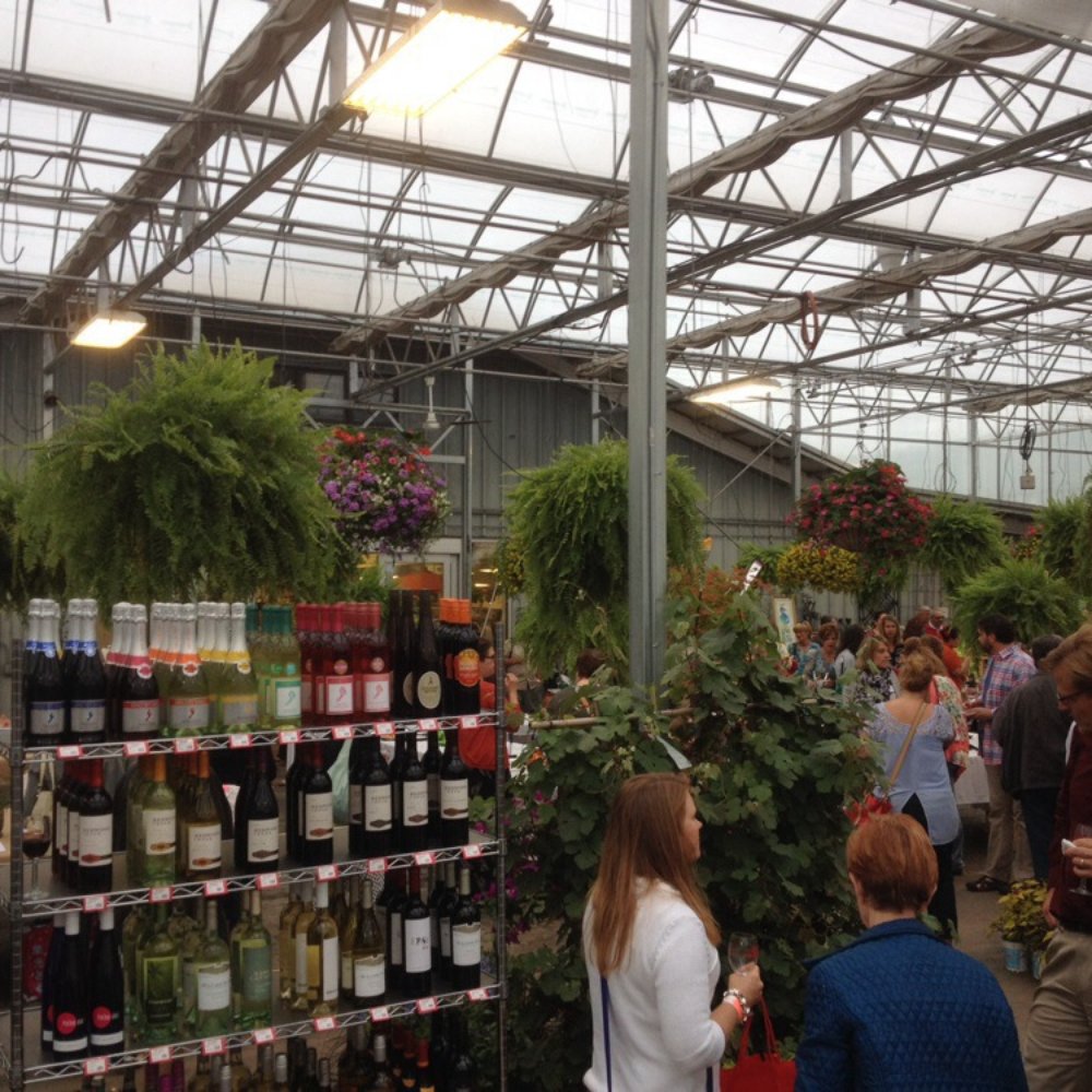Milaeger's - This the actual event in the greenhouse. - Nurseries & Gardening Near Me - Racine, Wisconsin Milaeger's - This the actual event in the greenhouse. - Nurseries & Gardening Near Me - Racine, Wisconsin