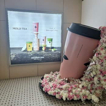 Molly Tea - Bubble Tea Near Me - Boston, Massachusetts Molly Tea - Bubble Tea Near Me - Boston, Massachusetts