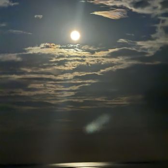 Holiday Park & Campground - Moonrise - Boating Near Me - Panacea, Florida Holiday Park & Campground - Moonrise - Boating Near Me - Panacea, Florida
