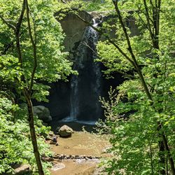 Williamsport Falls