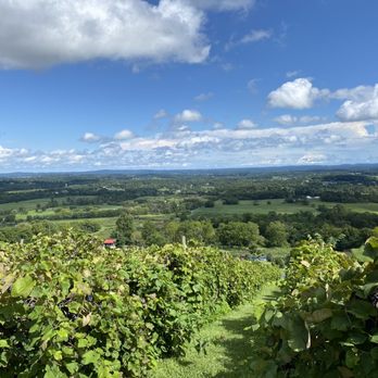 Bluemont Vineyard - Venues & Event Spaces Near Me - Bluemont, Virginia