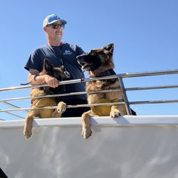 San Francisco Whale Tours