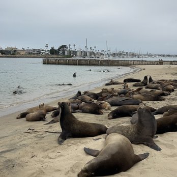 Kiddie Beach Park - Beaches Near Me - Oxnard, California