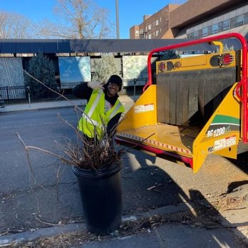 Creative Tree Service - Tree Services Near Me Creative Tree Service - Tree Services Near Me