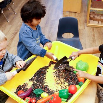Lawrence Montessori School - Preschools Near Me - Lawrence, Kansas Lawrence Montessori School - Preschools Near Me - Lawrence, Kansas