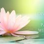 Photo of Maui Holistic Wellness Center