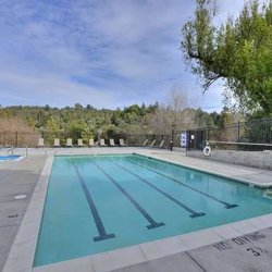 Bay Tree Apts - Baytree Apartments has a really nice heated pool!