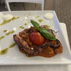 Piccola Stella - Polpo con Burrata e Pappa di Pomodoro / Pulpo mit Burratacreme und Tomaten-Brot-Püree
