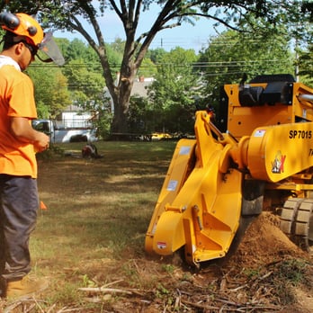 Rick's Expert Tree Service - Stump Grinding - Tree Services Near Me - Bensalem, Pennsylvania Rick's Expert Tree Service - Stump Grinding - Tree Services Near Me - Bensalem, Pennsylvania