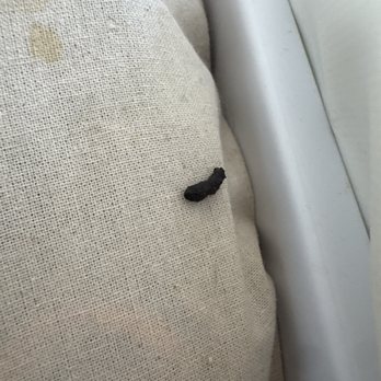 Extra Space Storage - More Rat poop and urine - Self Storage Near Me - Lithonia, Georgia