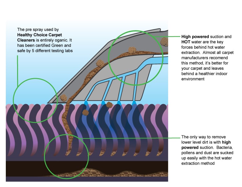 HEALTHY CHOICE CARPET CLEANERS Updated August 2024 36 Photos & 256