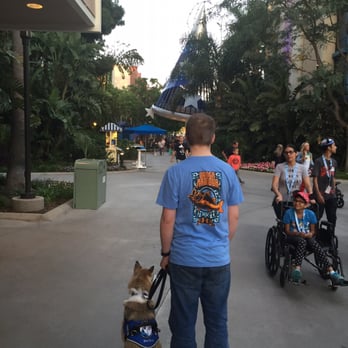 Alaska Dog Works - Pet Training Near Me - Wasilla, Alaska Alaska Dog Works - Pet Training Near Me - Wasilla, Alaska