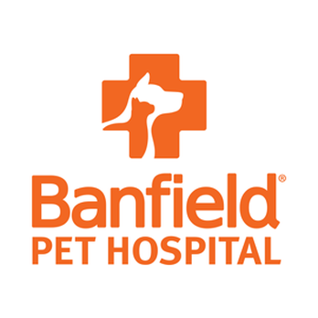 Banfield Pet Hospital Veterinarians Gainesville Va Yelp