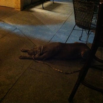 Encinitas Ale House - I want a burger! - Pubs Near Me - Encinitas, California Encinitas Ale House - I want a burger! - Pubs Near Me - Encinitas, California